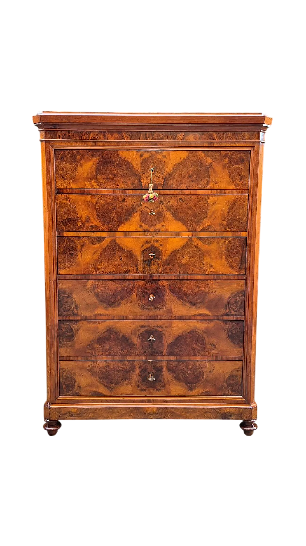 Romagna chest of drawers in walnut burl, 19th century 10