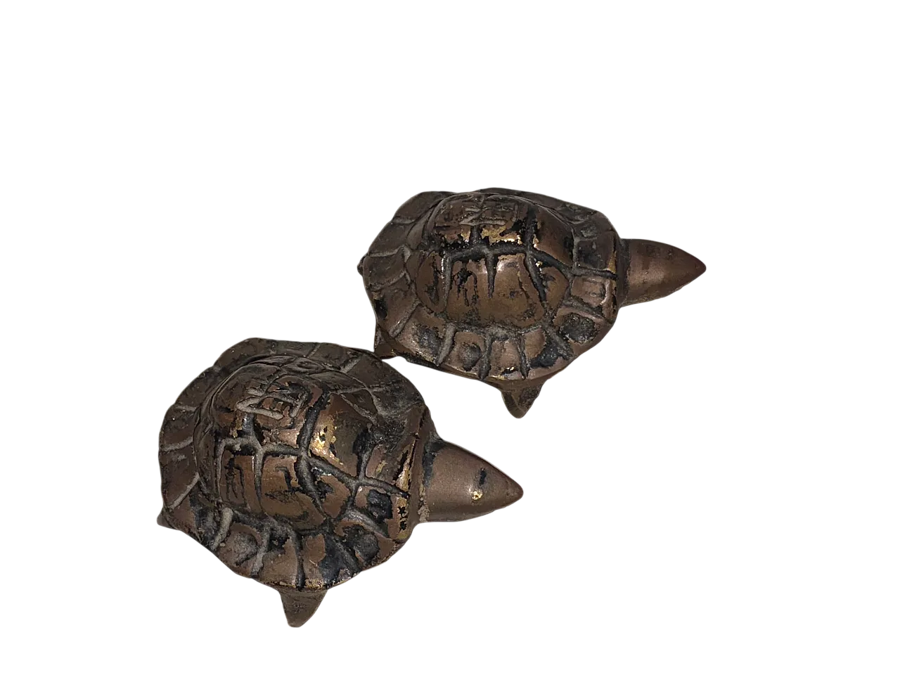 Pair of turtles, 20s 6
