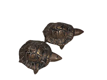 Pair of turtles, 20s