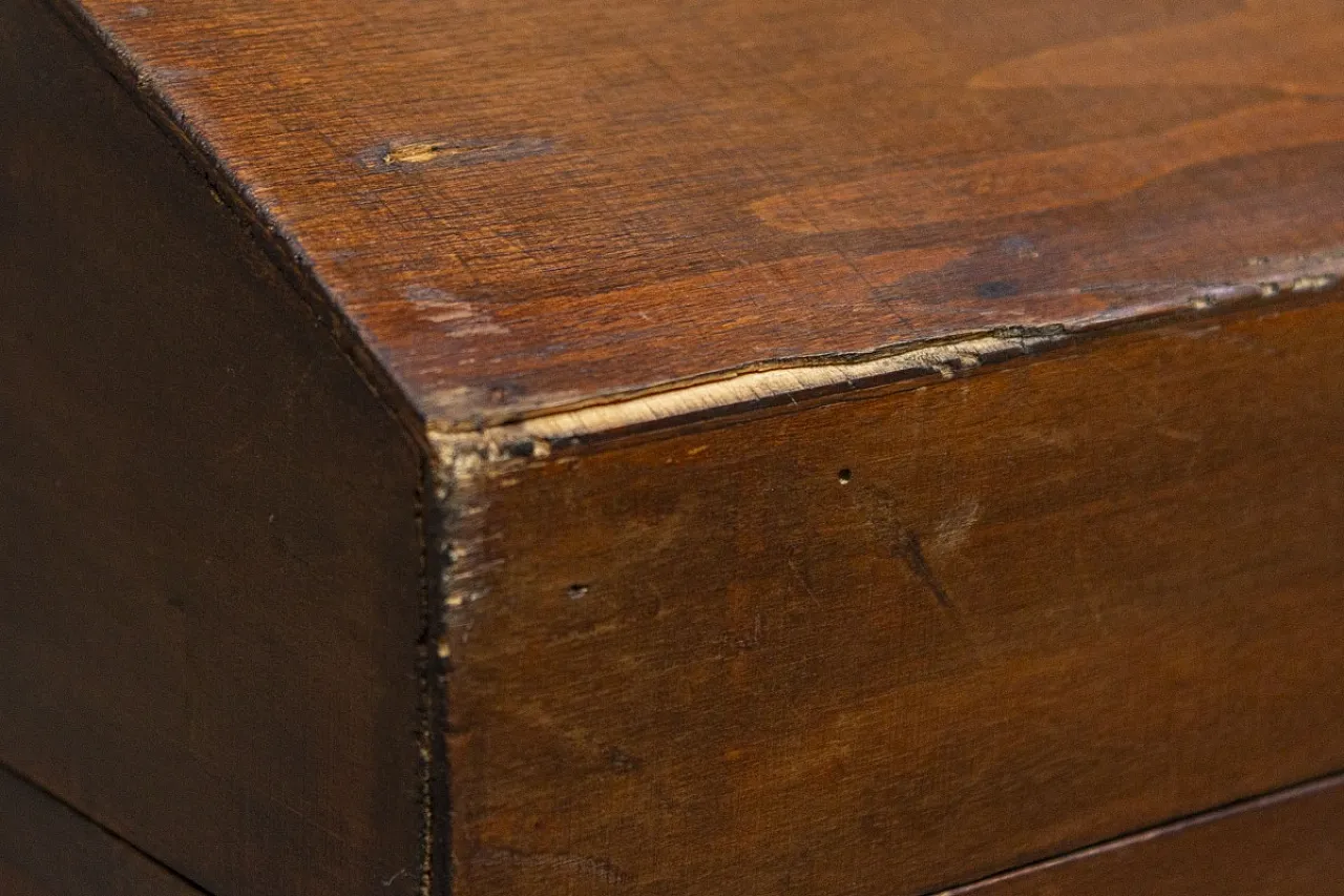 Baule in legno di pioppo, primo '900 9