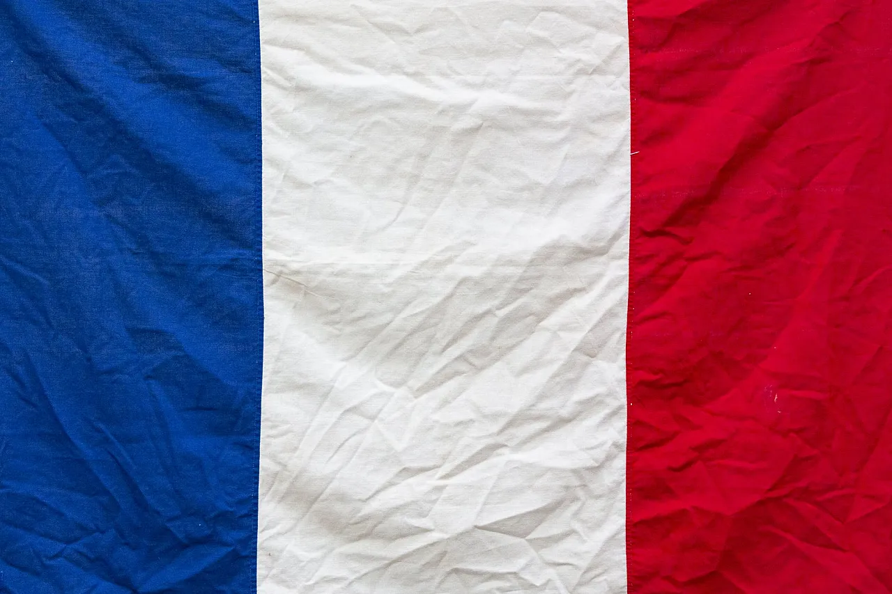 Bandiera della Francia in cotone, '900 1