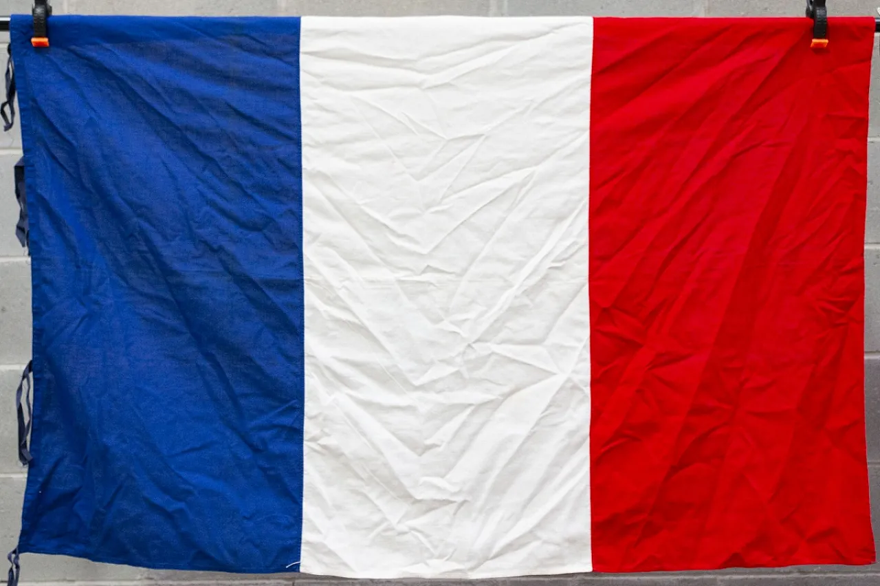 Bandiera della Francia in cotone, '900 2