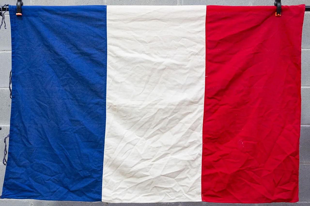 Bandiera della Francia in cotone, '900 7
