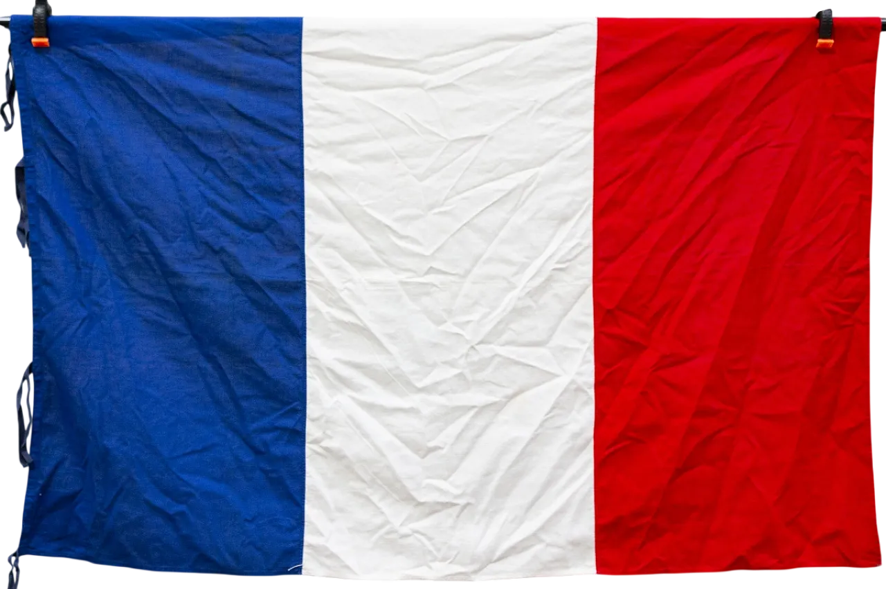Bandiera della Francia in cotone, '900 8