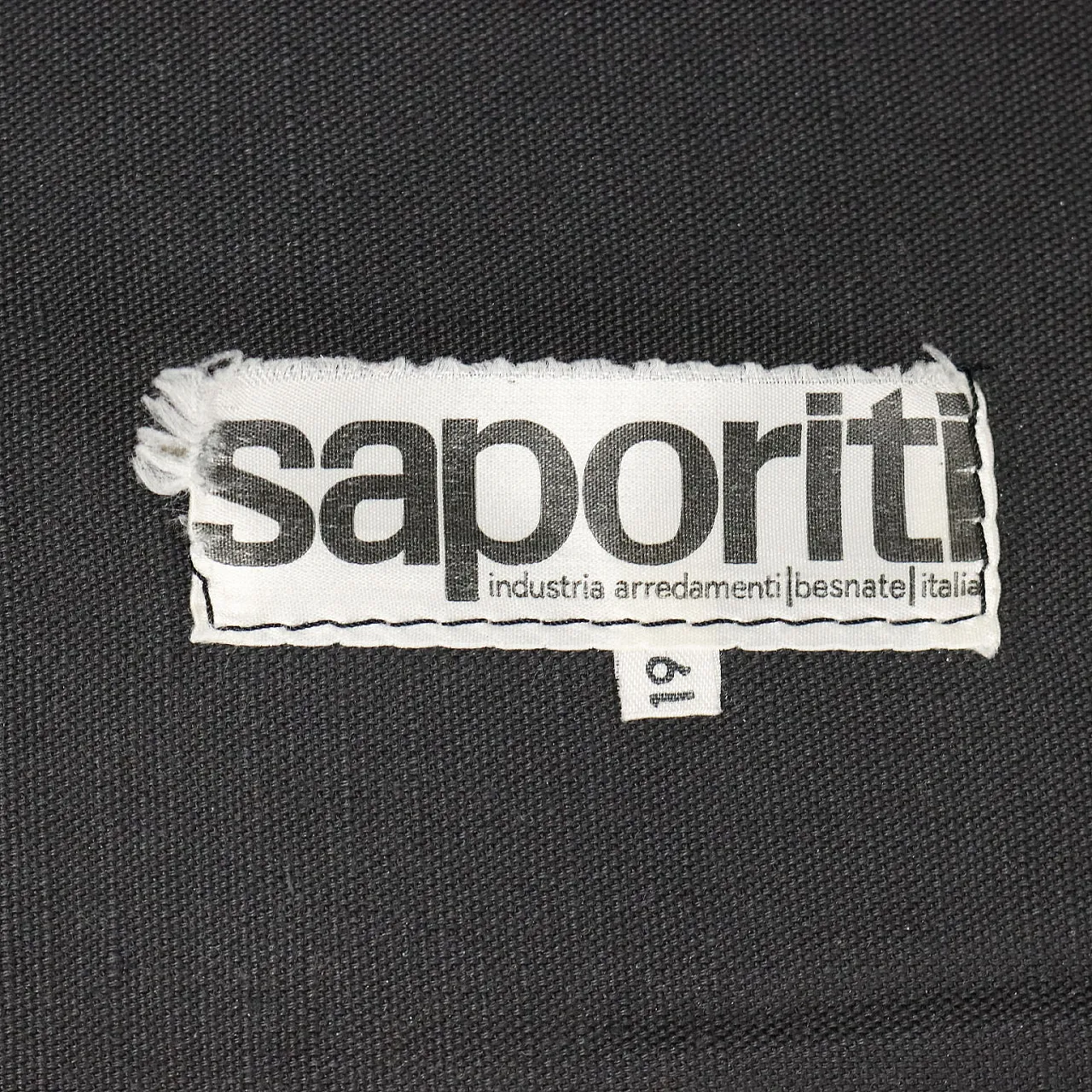 Larissa two seater Sofa by Vittorio Introini for Saporiti, 1970s 9