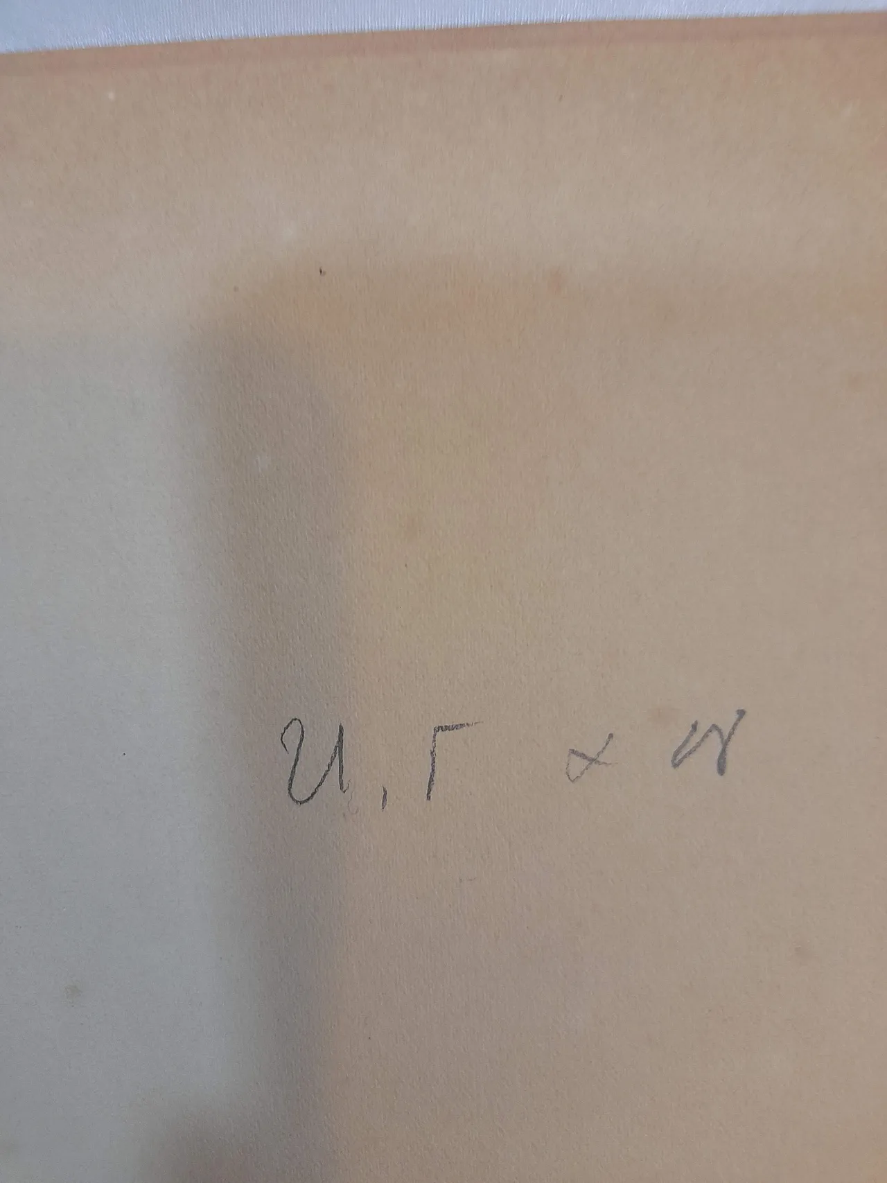 Litografia Esecuzione di un tossicodipendente di Tsuguharu Fujita 14