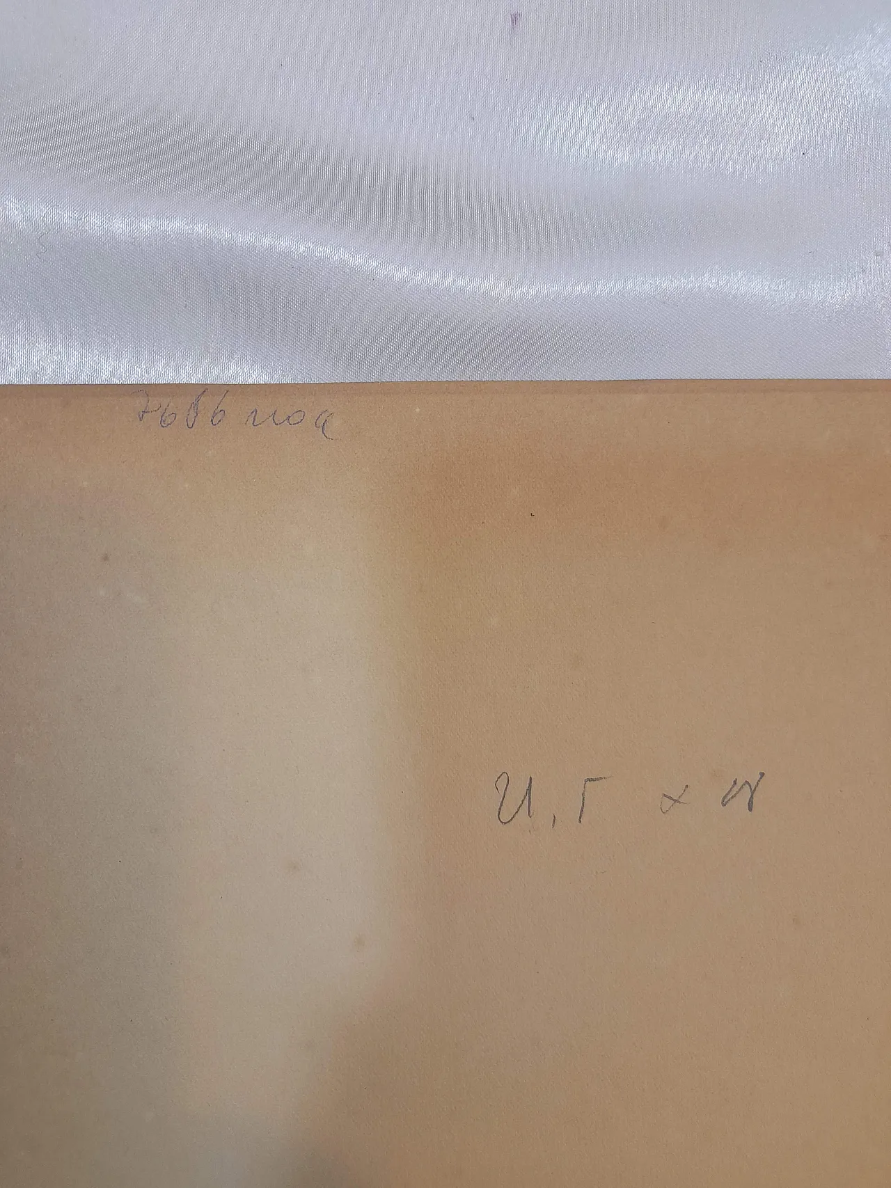 Litografia Esecuzione di un tossicodipendente di Tsuguharu Fujita 15