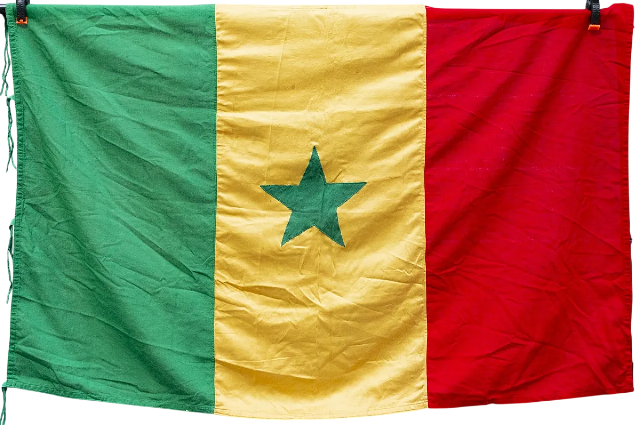 Bandiera del Senegal in cotone F.&A. F.lli Bianchi Bologna, '900 6