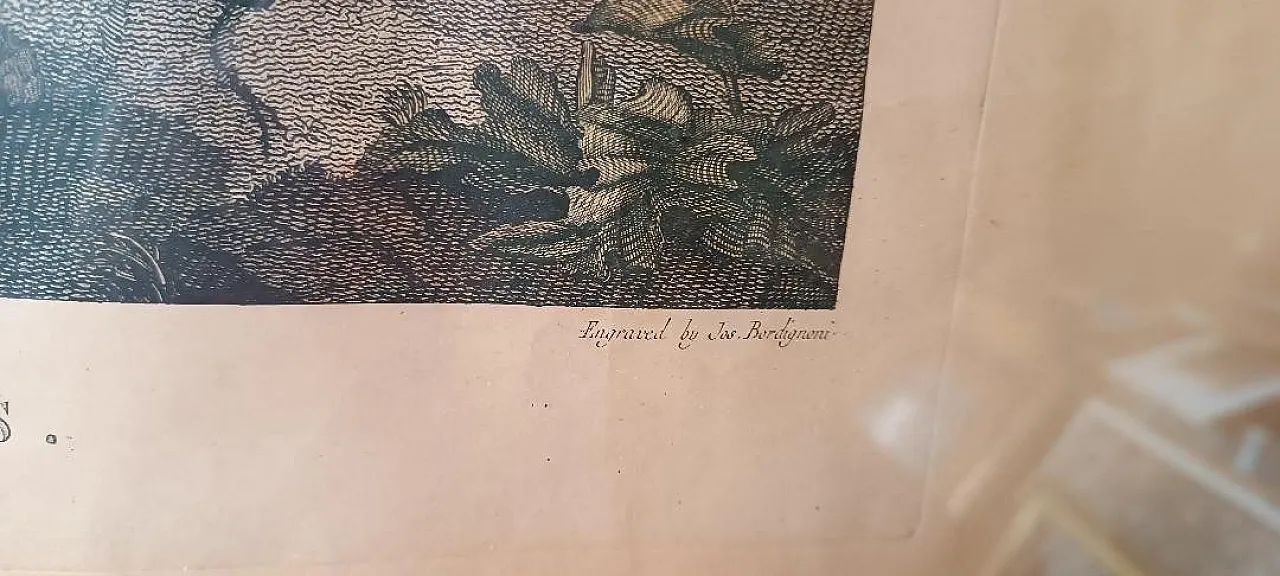 Scena bucolica, acquaforte di Bortignoni, XIX secolo 8