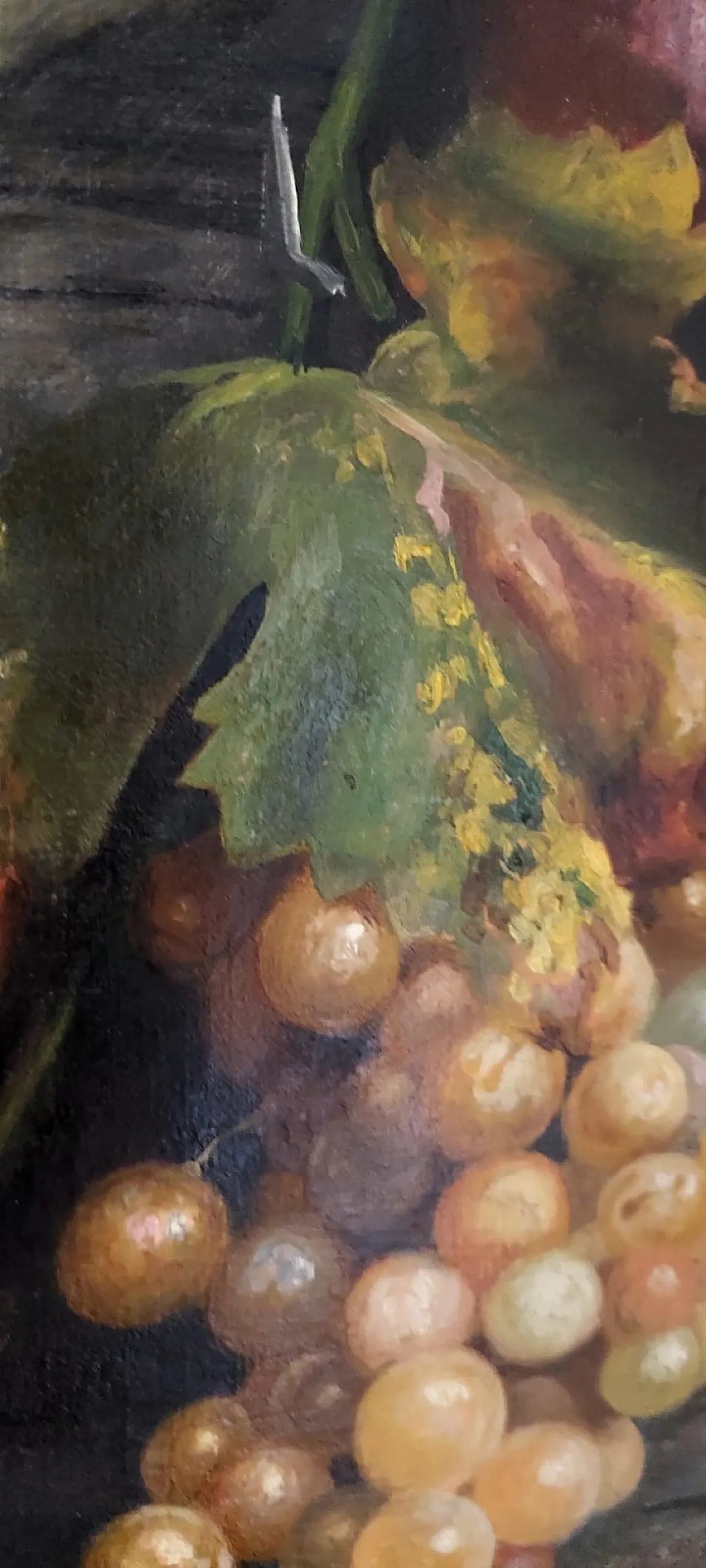 Natura morta di Aurelio Zingoni, olio su tela, XIX secolo 14