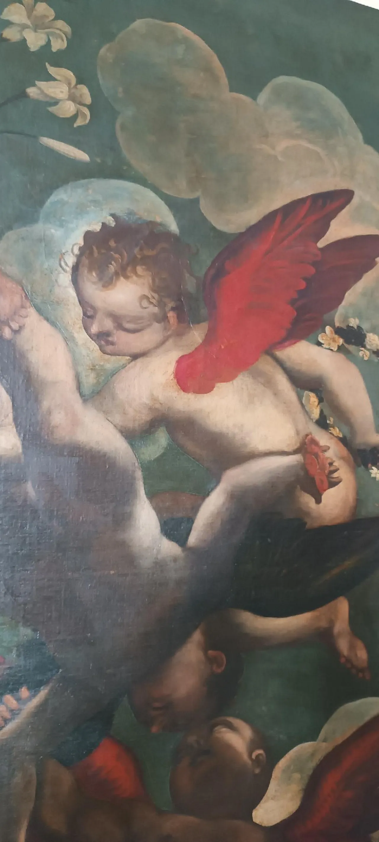 Raffigurazione di angeli, olio su tela, scuola italiana del XVII secolo 5