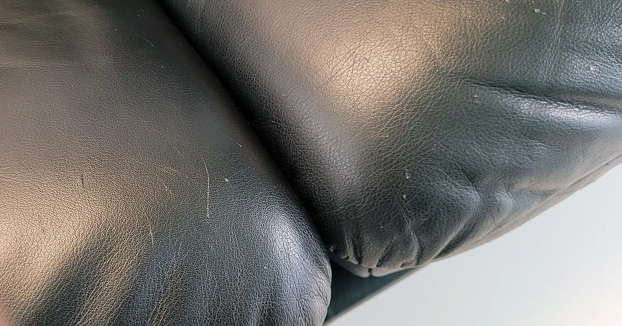 DS-140 Sofa by Reto Frigg for De Sede, late 20th century 15