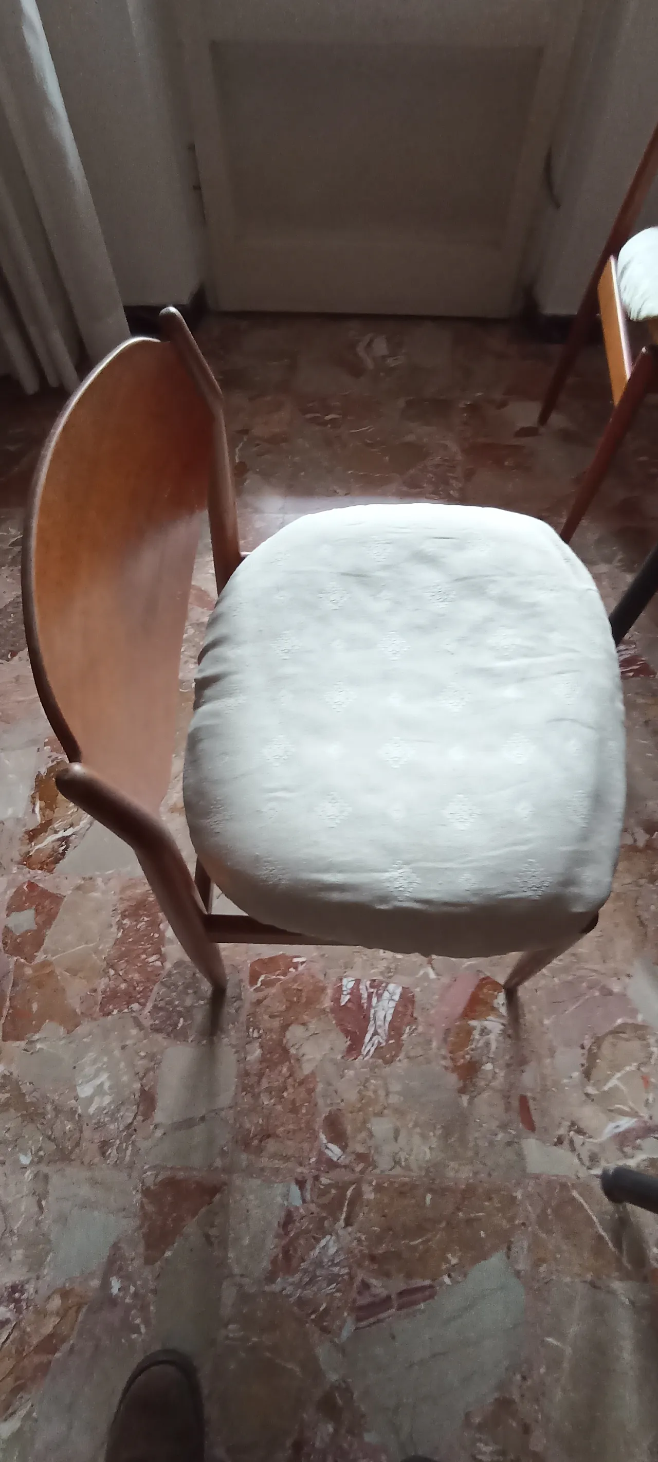 6 Sedie design Leonardo Fiori per I.S.A. Bergamo, anni '50 2