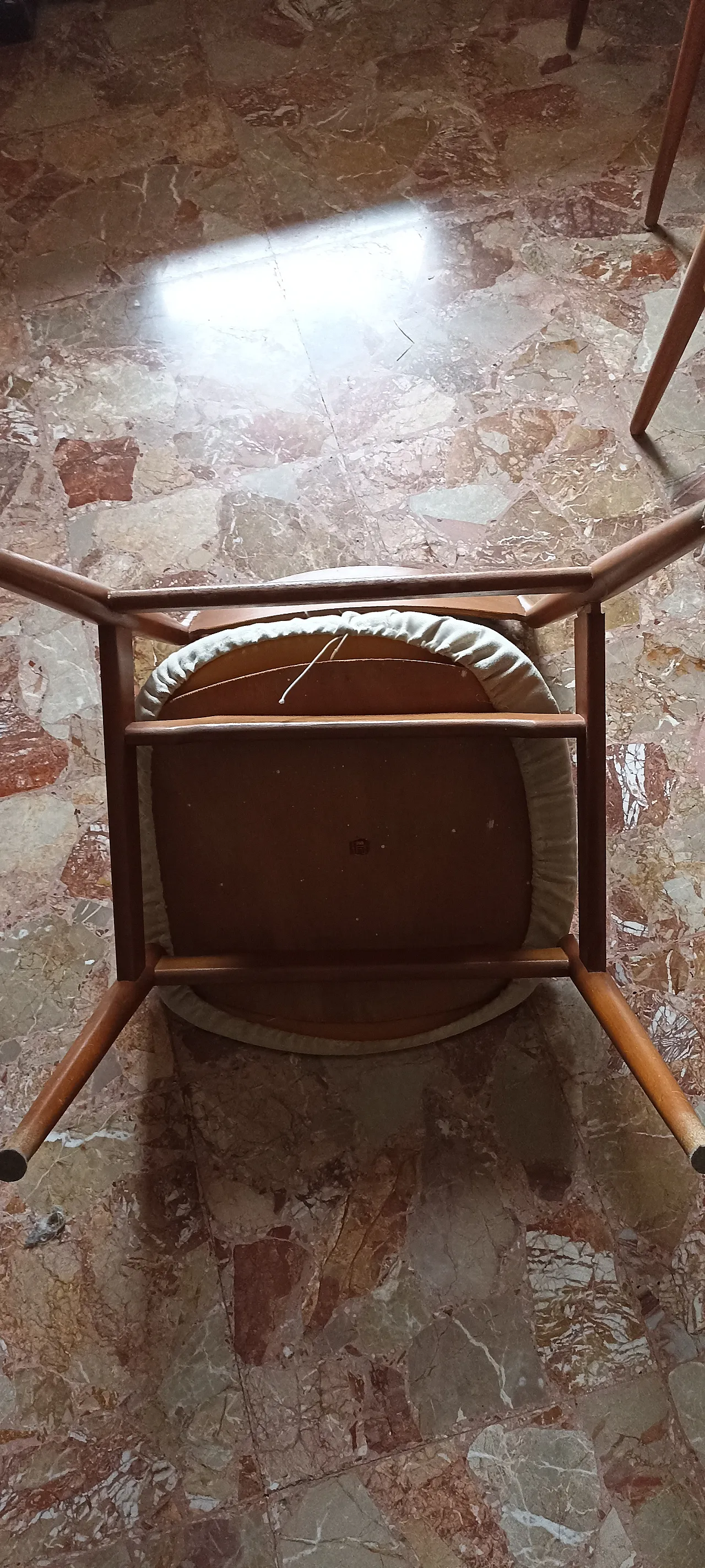 6 Sedie design Leonardo Fiori per I.S.A. Bergamo, anni '50 4