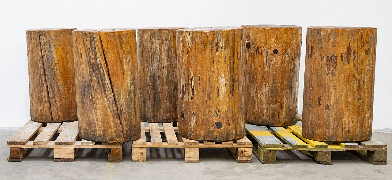 Sgabello realizzato con tronco di larice, XX secolo 1