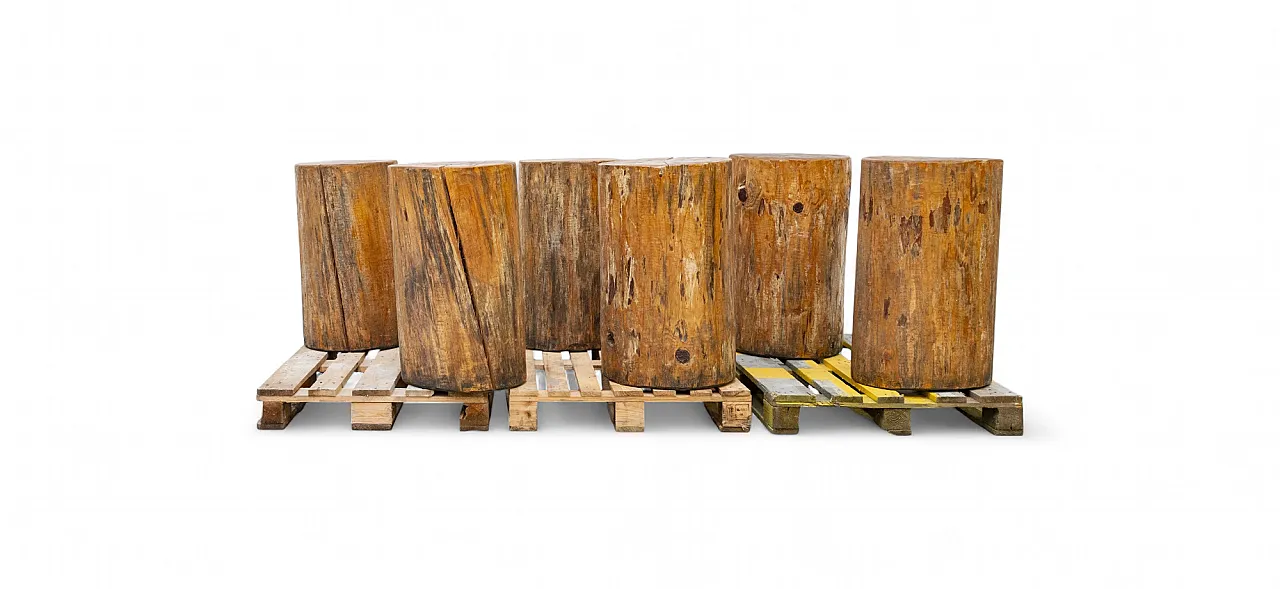 Sgabello realizzato con tronco di larice, XX secolo 7