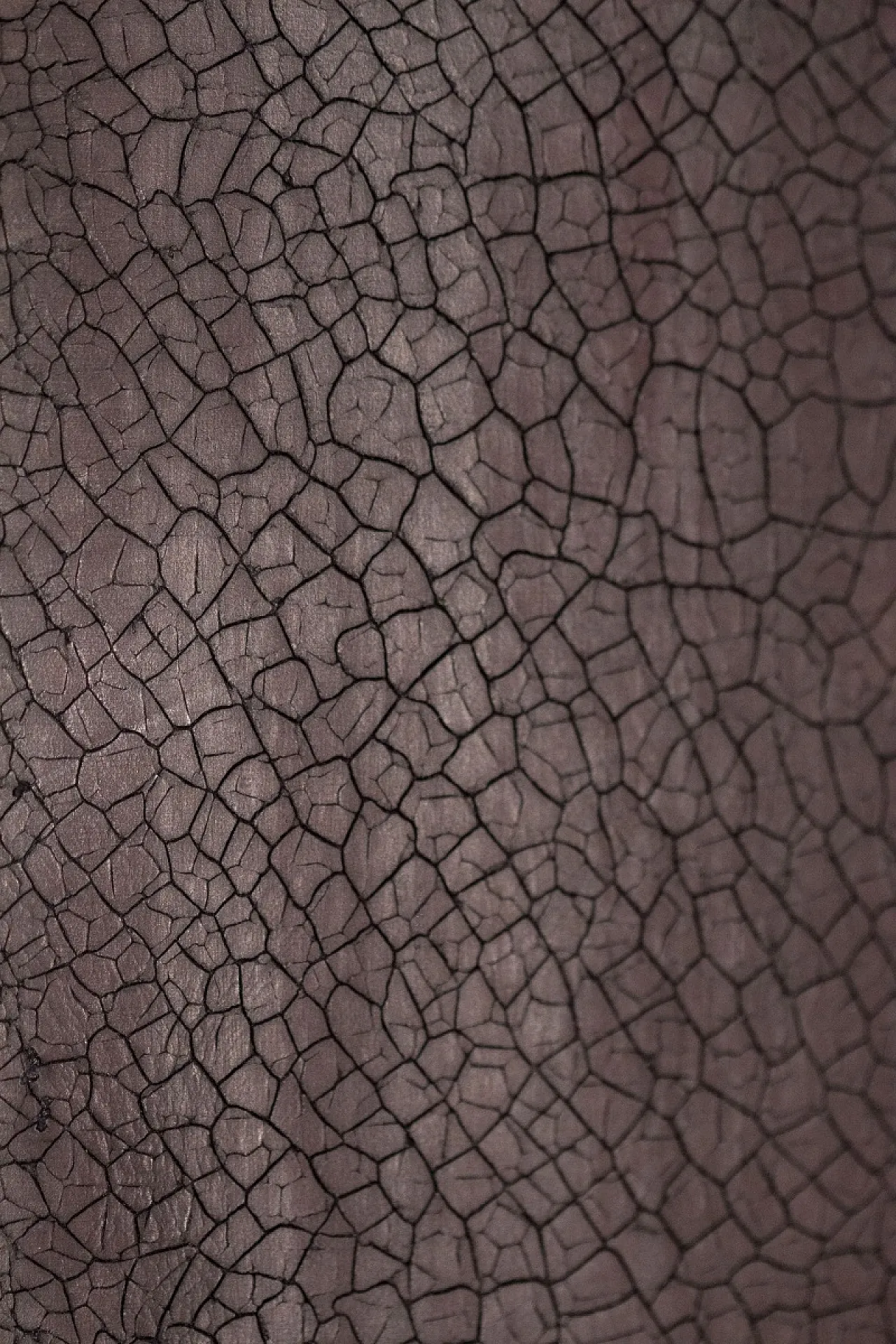 Specchio di lusso con cornice in legno e cuoio, '900 3