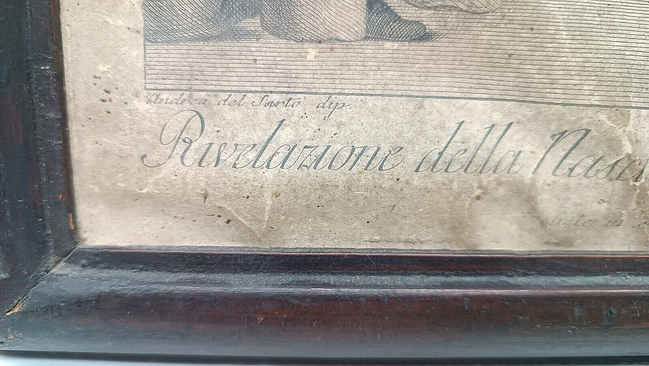 Andrea del Sarto, incisione su carta, '700 6