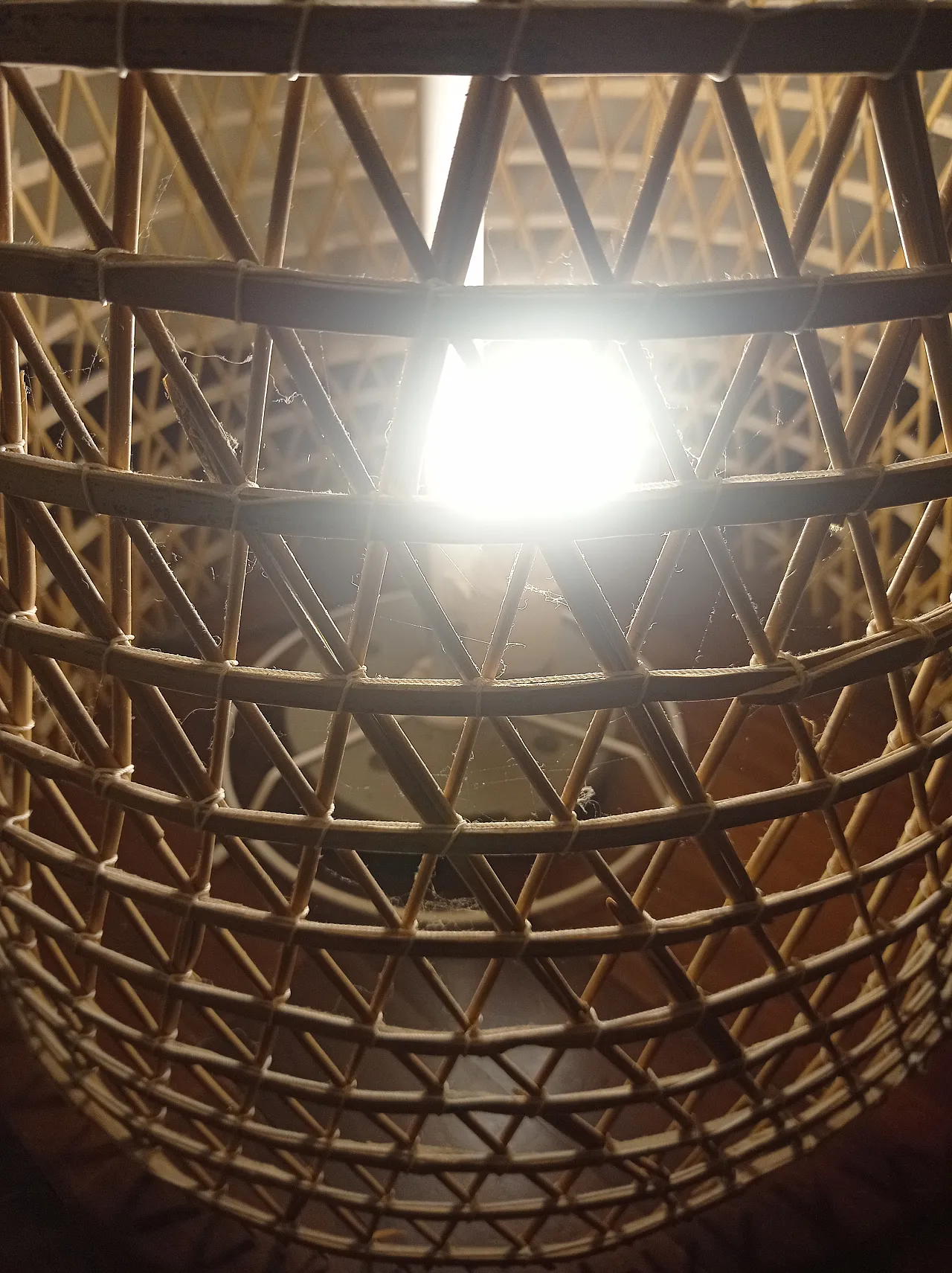 Wicker lamp fishing trap Aeolian Islands, 2018 4