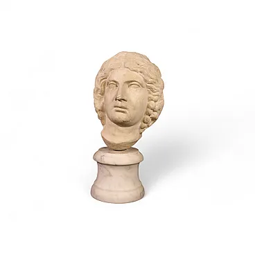 Scultura italiana, testa in marmo bianco, '600