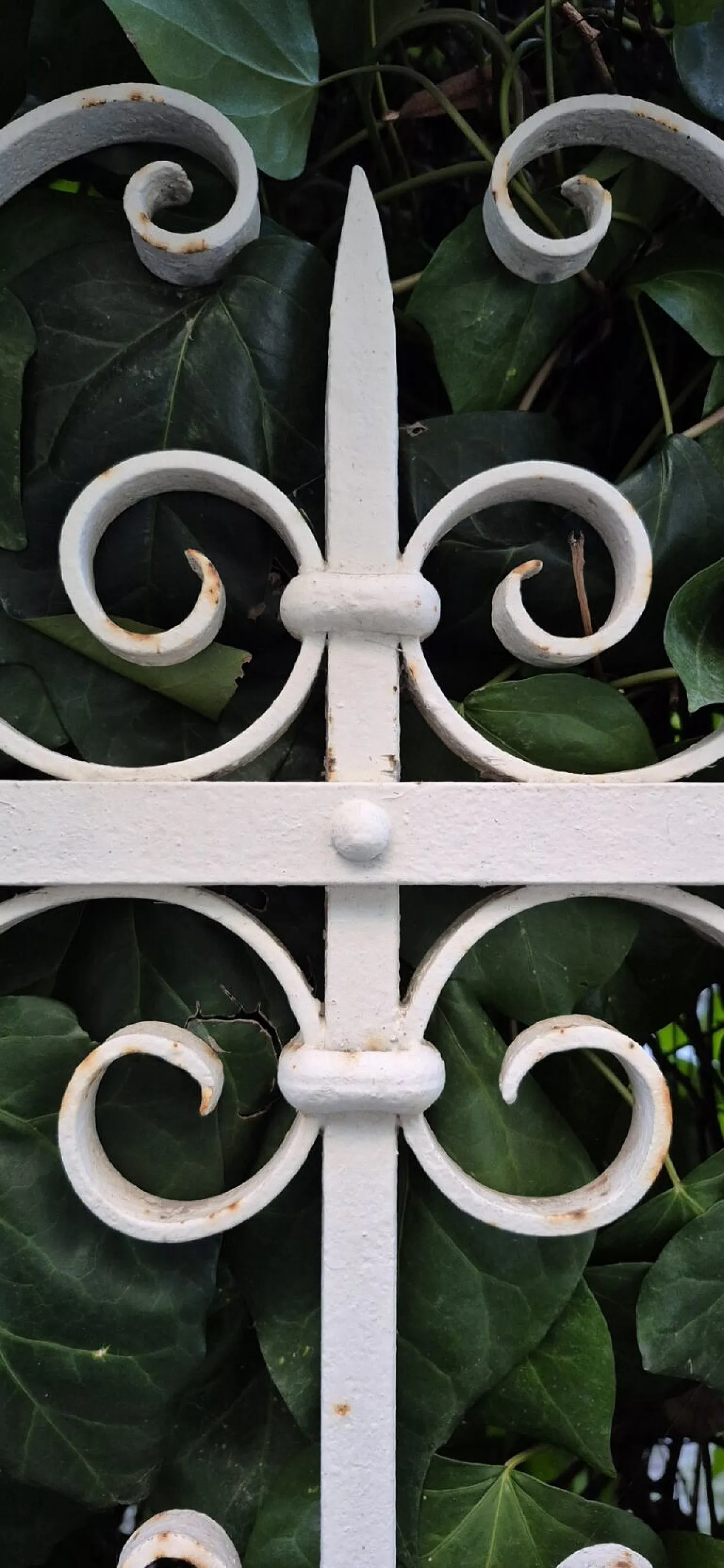 Cancello in ferro battuto, ’800 6