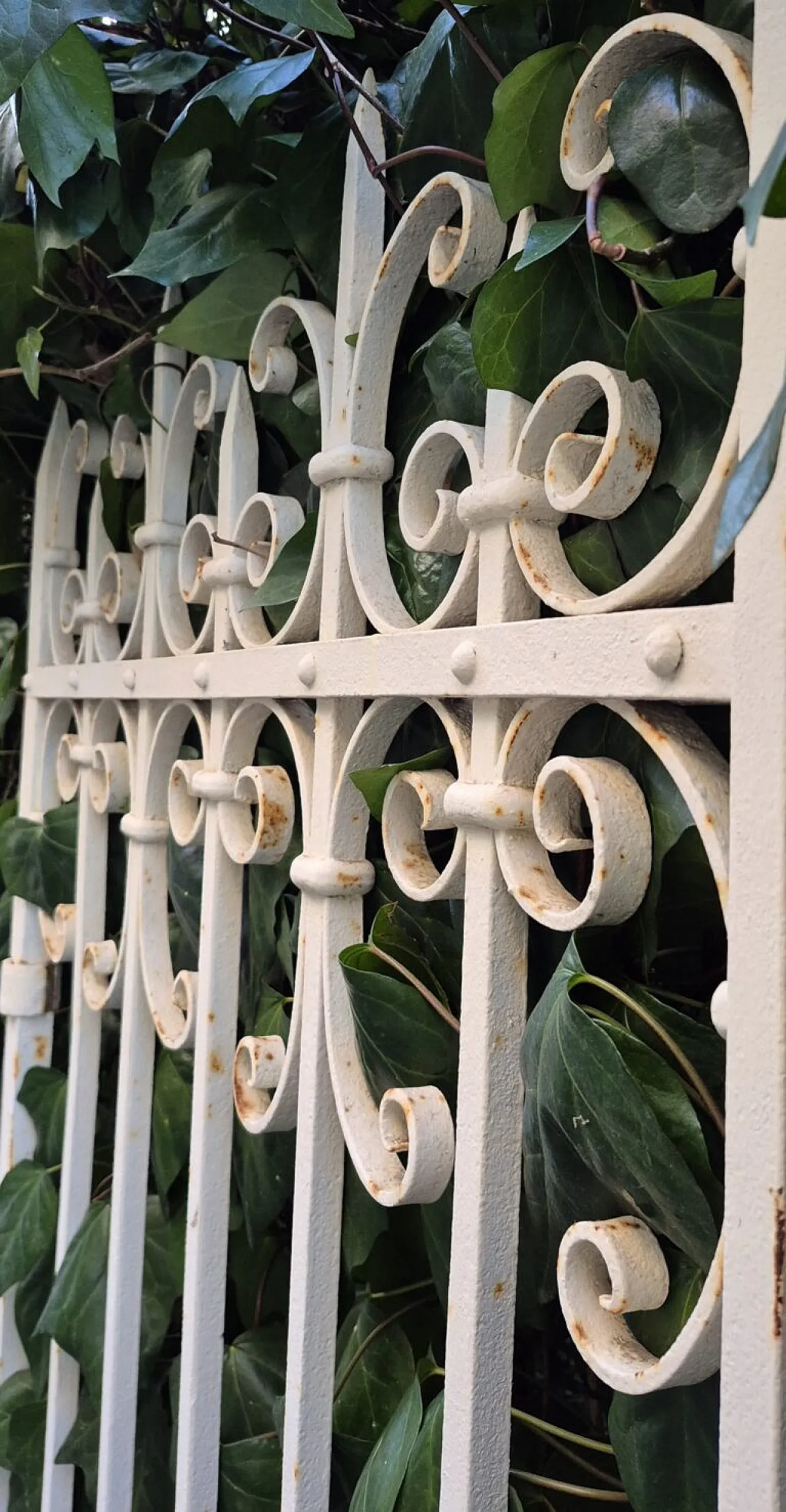 Cancello in ferro battuto, ’800 7