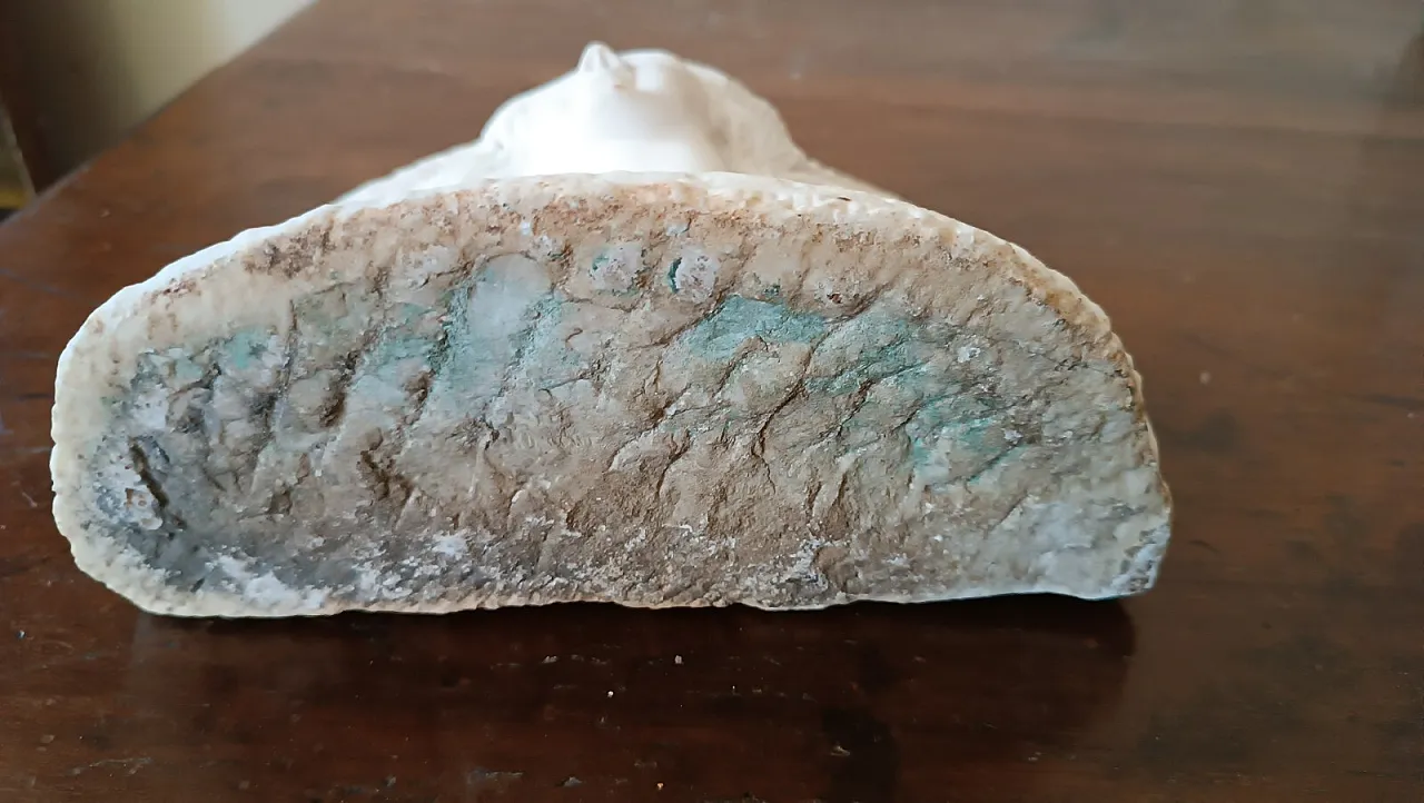 Busto femminile in marmo, primo '900 8