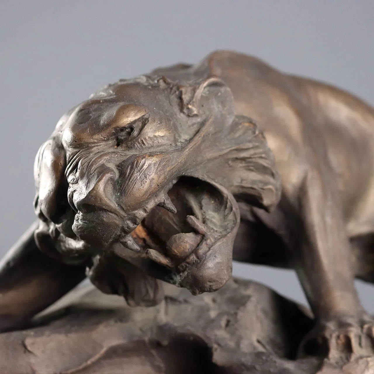 Scultura felino ruggente di Villarrubia in bronzo e legno, '900 3