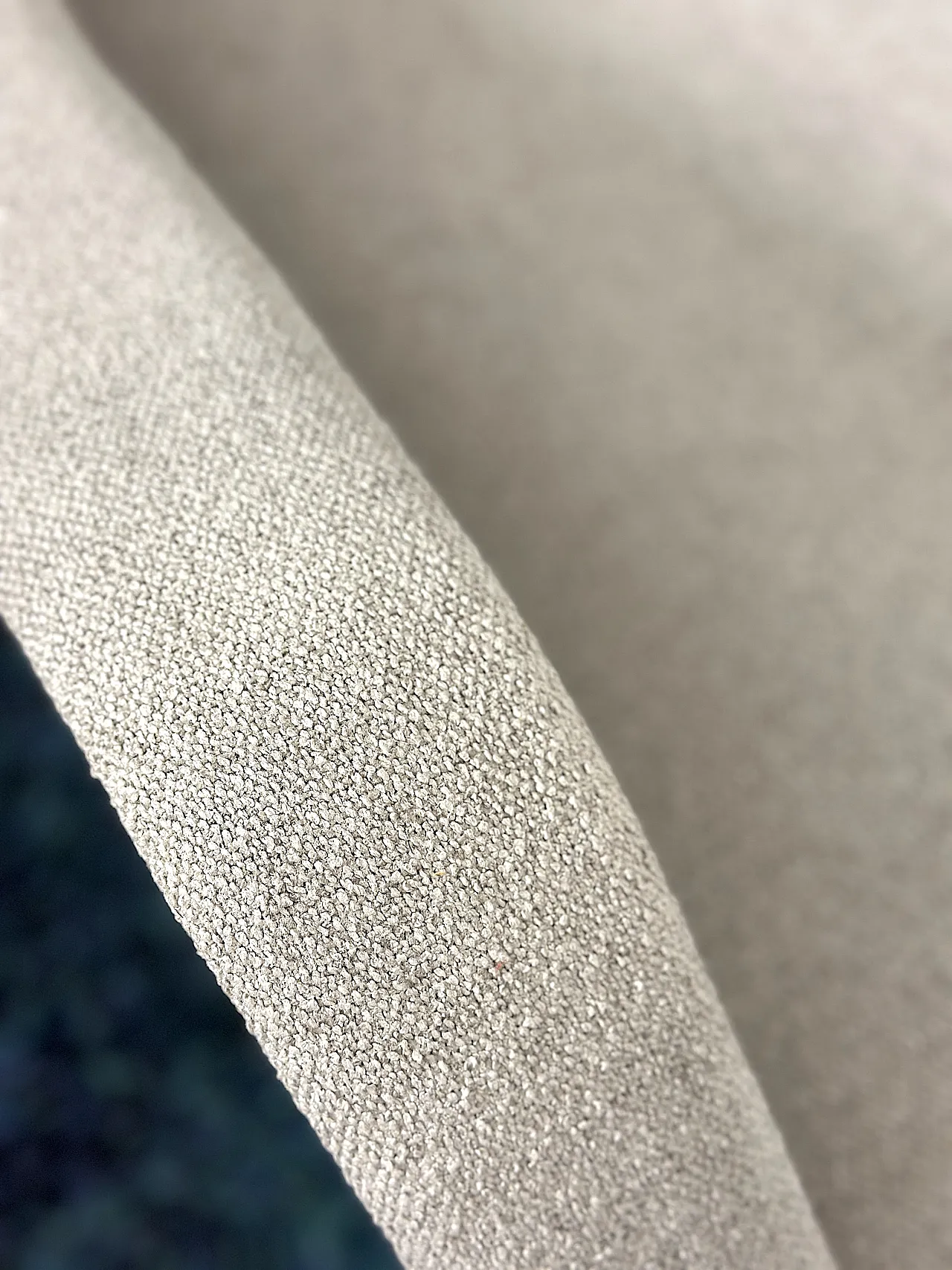 Pair of armchair by Aldo Morbelli for ISA Bergamo, 1950s 11