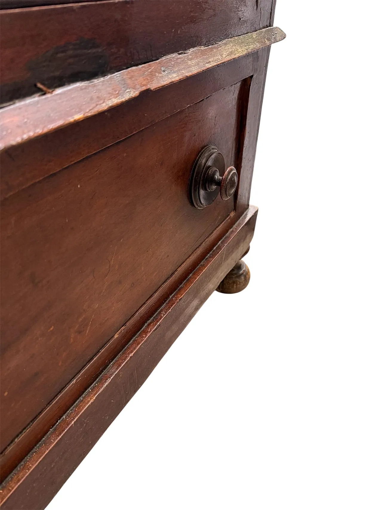 Wood and glass display case, late 19th century 4