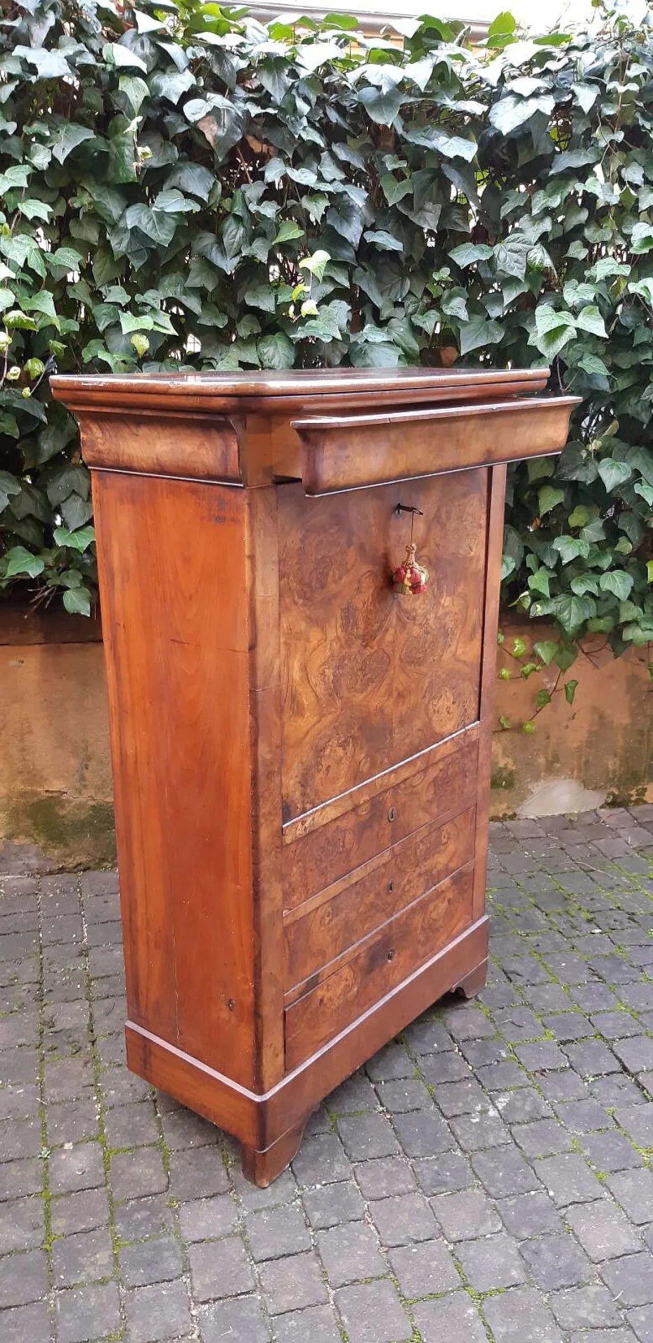 Luigi Filippo cappuccino secretary in walnut and briar, 19th century 4