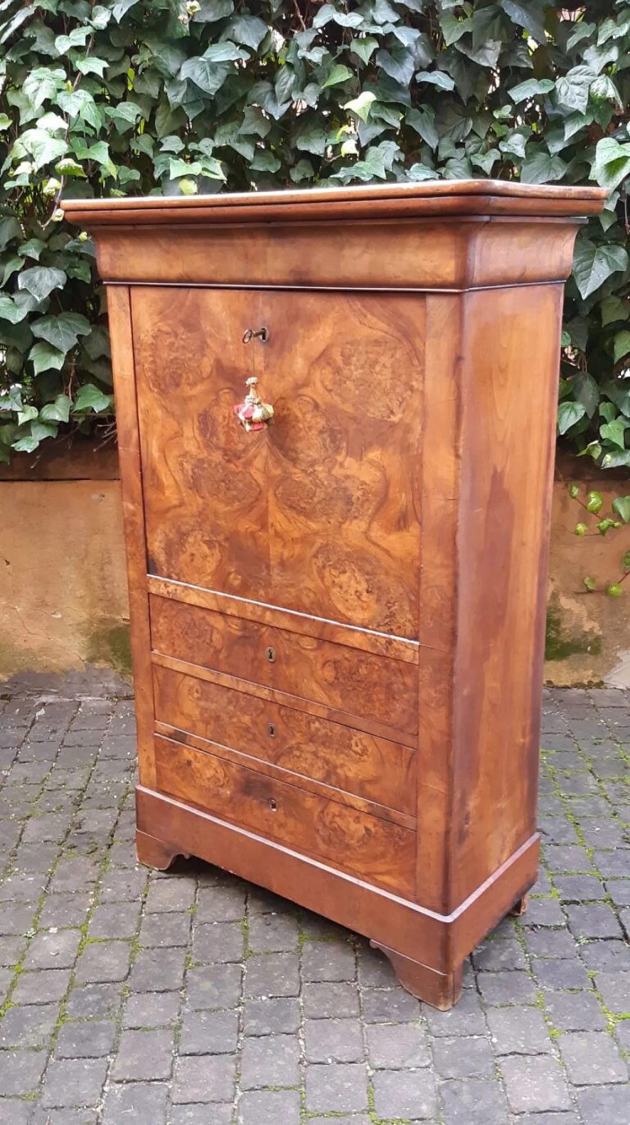 Luigi Filippo cappuccino secretary in walnut and briar, 19th century 5