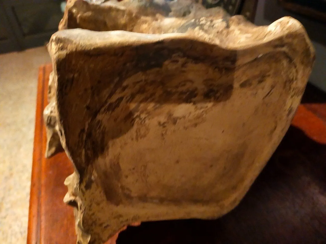 Odalisca di Enrico Lazar, scultura in terracotta, primo '900 11