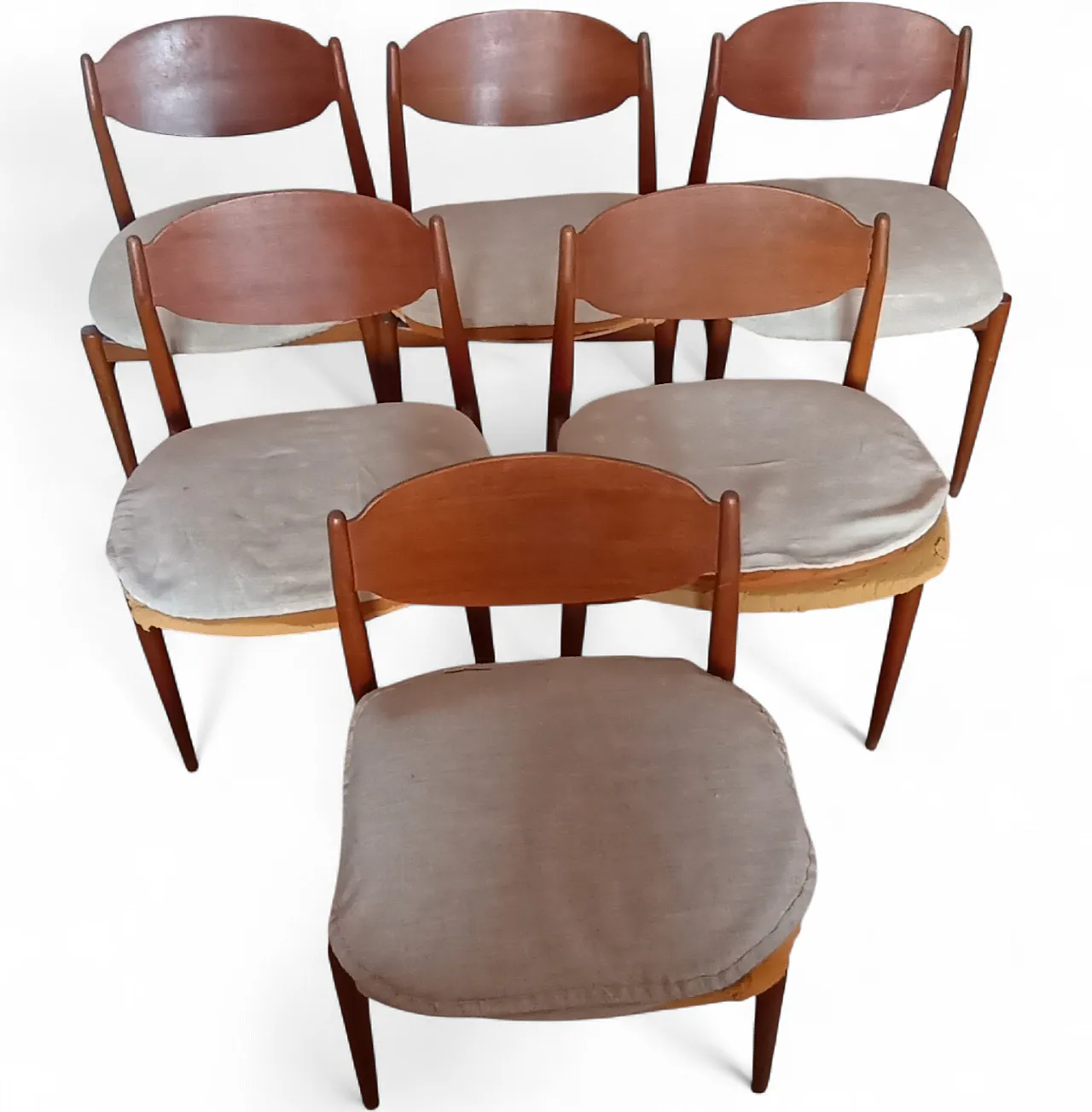 6 Sedie design Leonardo Fiori per I.S.A. Bergamo, anni '50 6