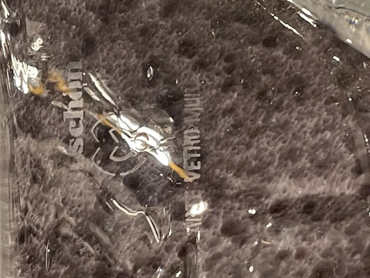 Pair of Murano glass sconces by Mila Schon for Arte Vetri, 1980s 7