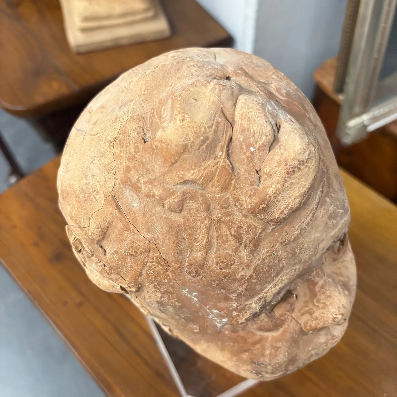 Ancient 19th century terracotta sculpture of the head of an Angel Putto. Size 8