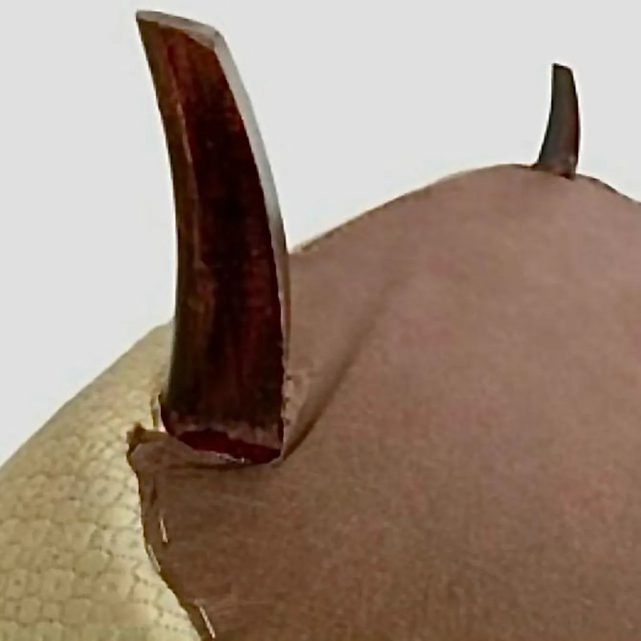 Divano e tavolino Art Deco in noce massello, anni '30 32