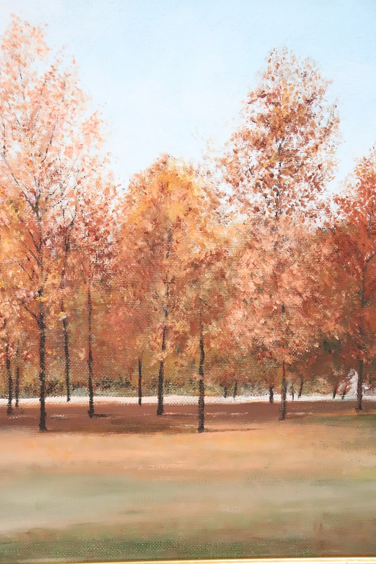 Autumn landscape, oil on canvas cardboard, 1900s 7
