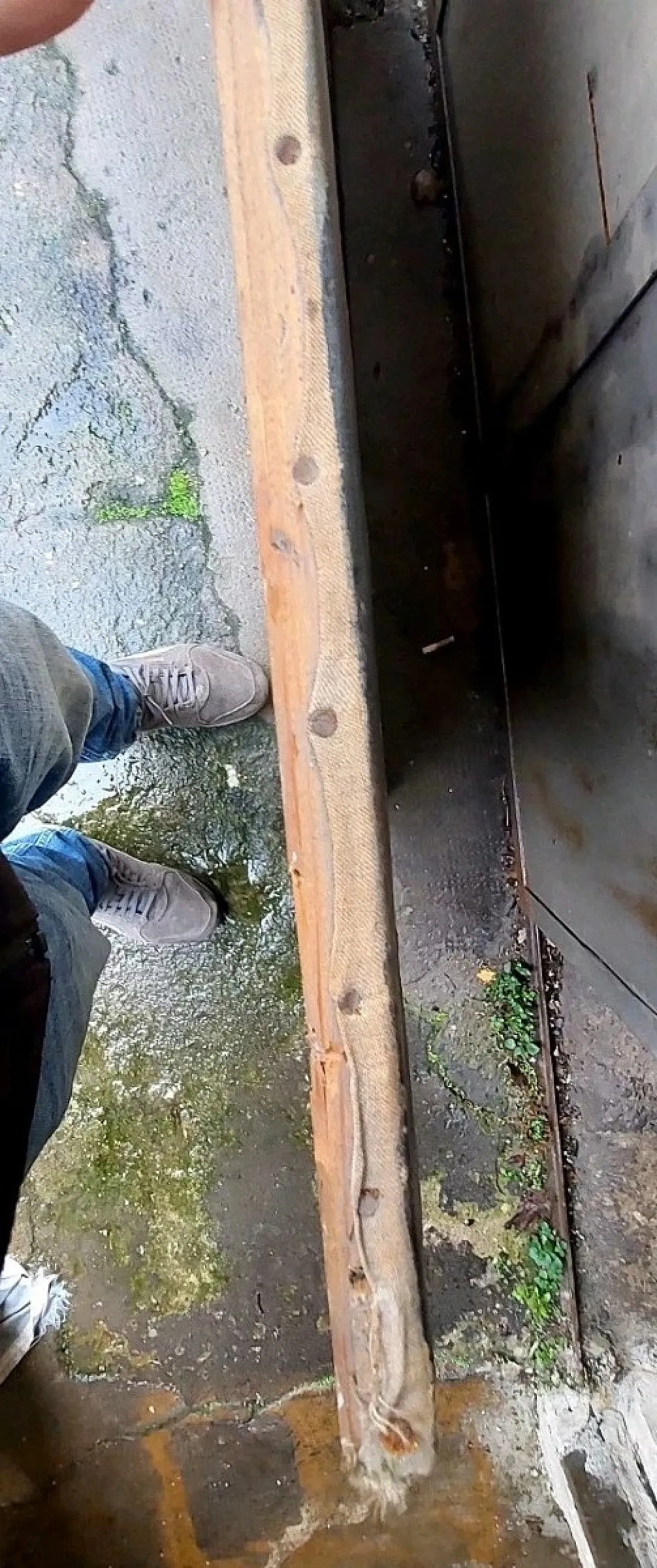 Landscape with ruins and figures, oil on canvas, 19th century 7