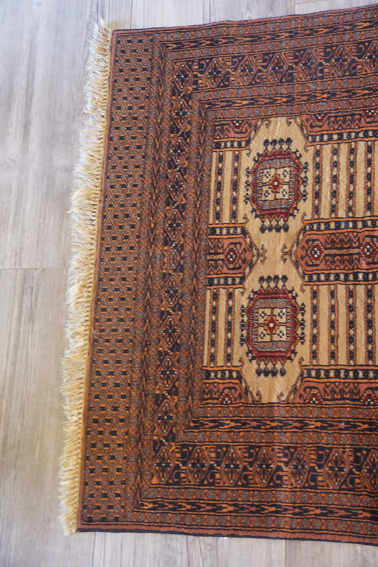 Turkmen teak bukhara carpet extra fine knot, 50s 22