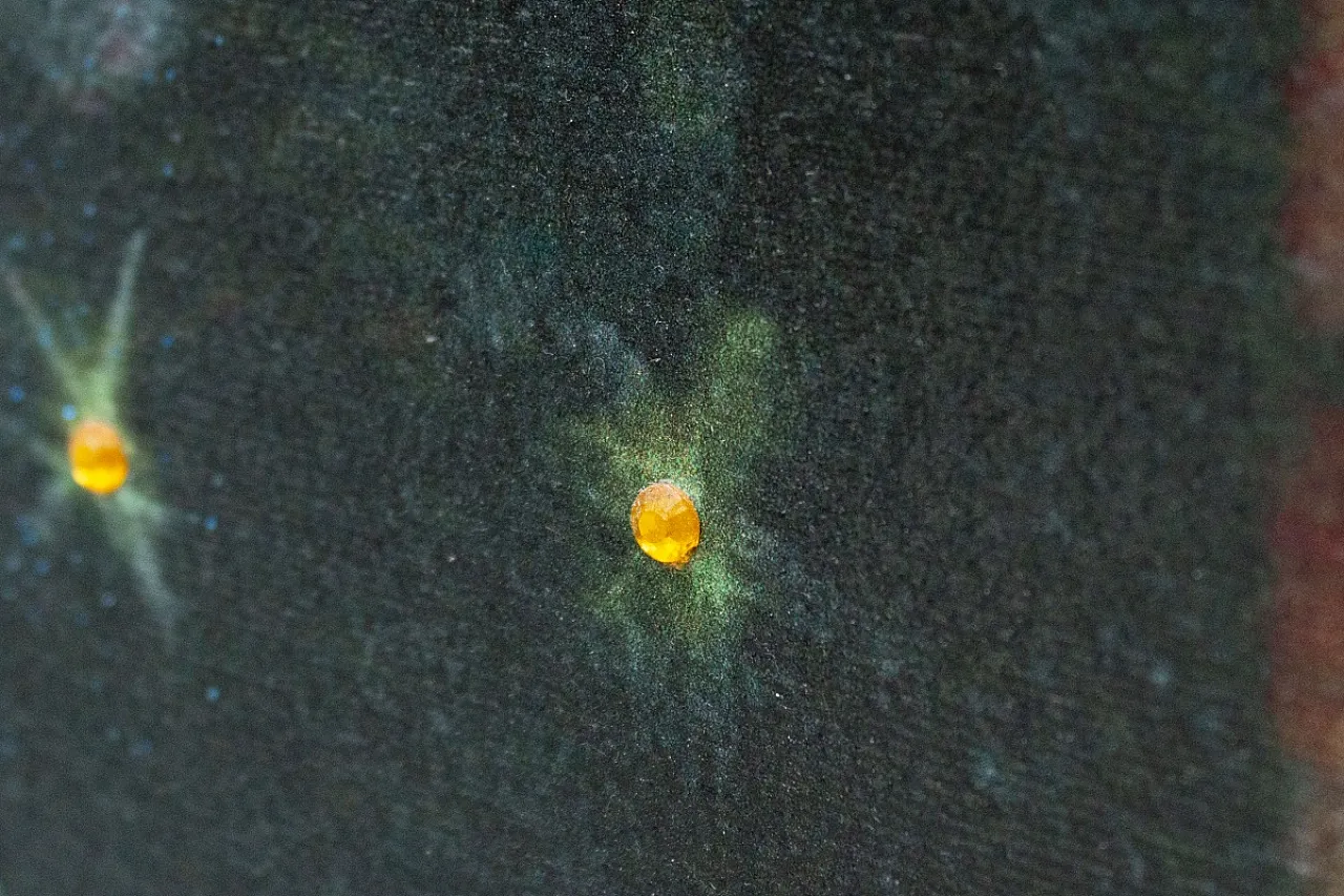 Elvis di Vicent Brunetti, olio su tela, '900 6