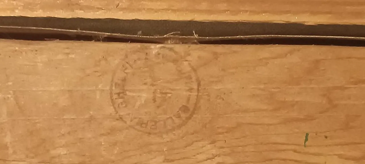 Violette di Renato Borsato, olio su tela, '900 13