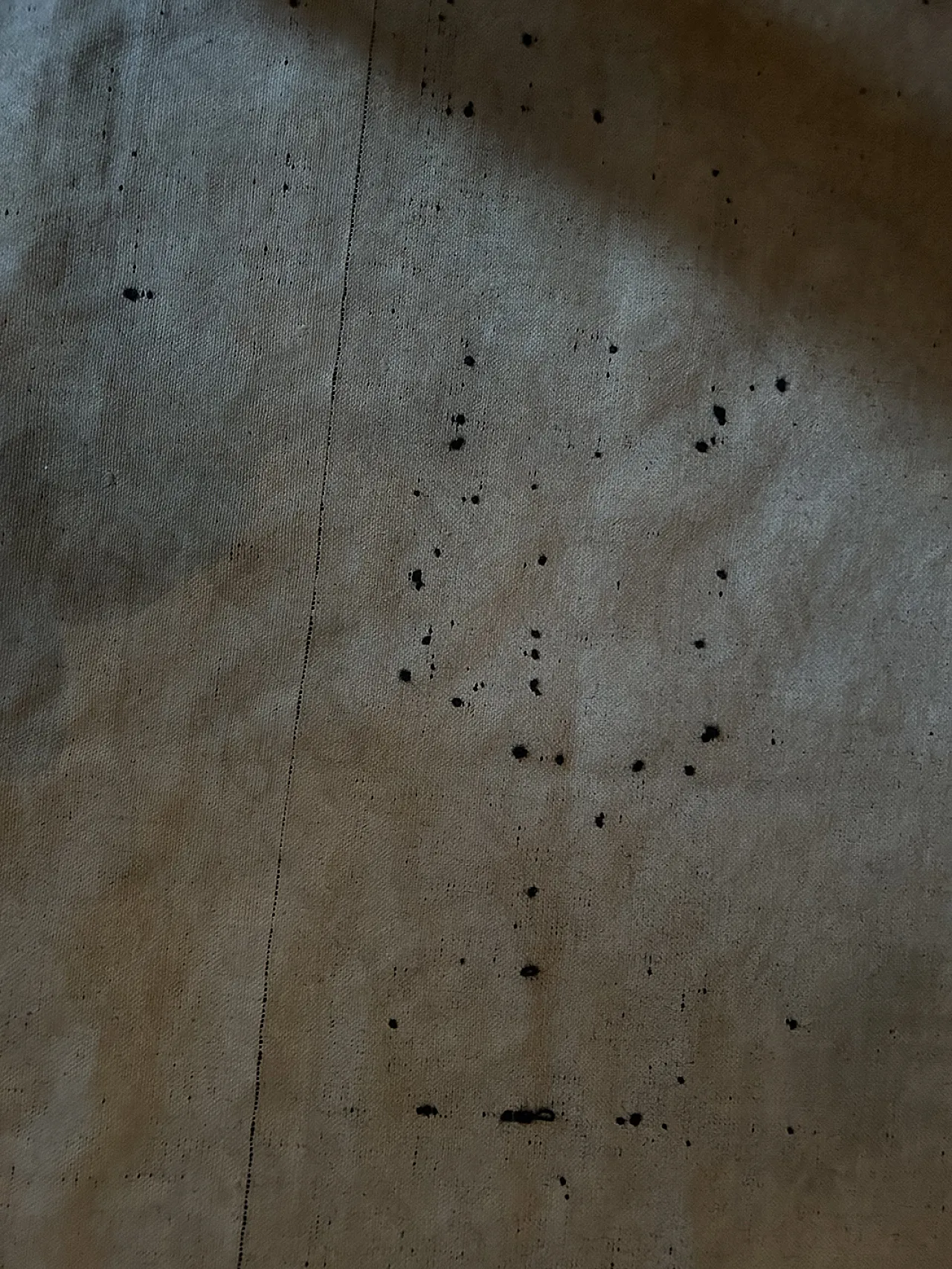 Sardinian Pibiones carpet, early 20th century 5