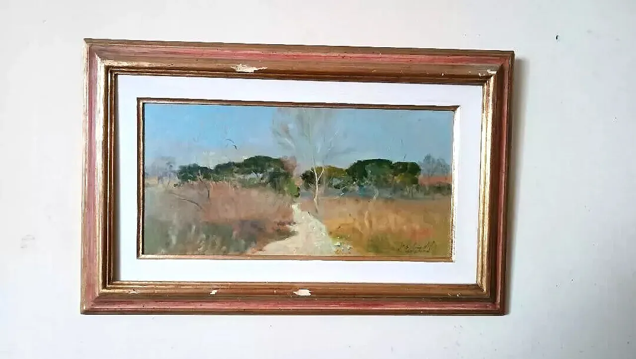 Scorcio della maremma di Bruno Loretti, olio su cartone, '900 1