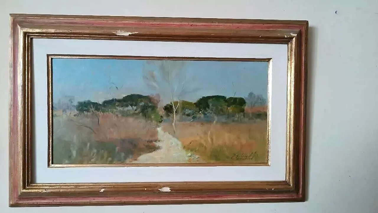 Scorcio della maremma di Bruno Loretti, olio su cartone, '900 2