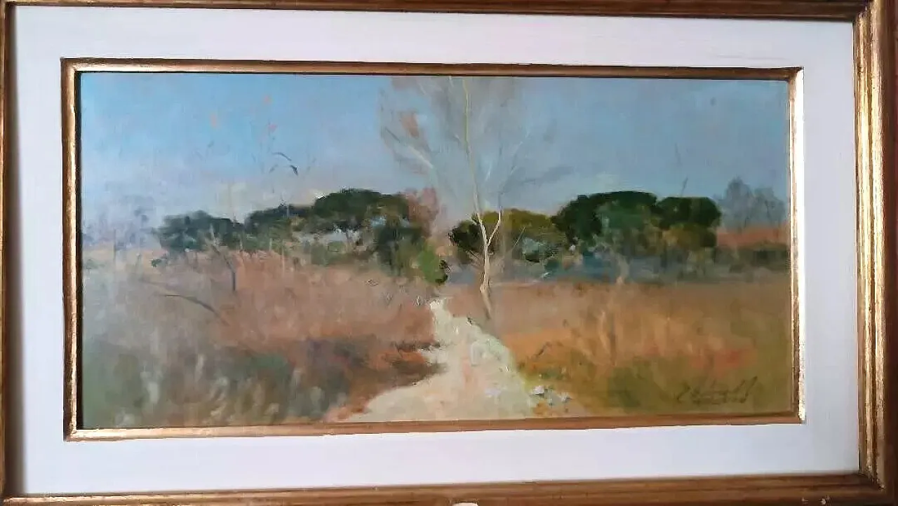 Scorcio della maremma di Bruno Loretti, olio su cartone, '900 3