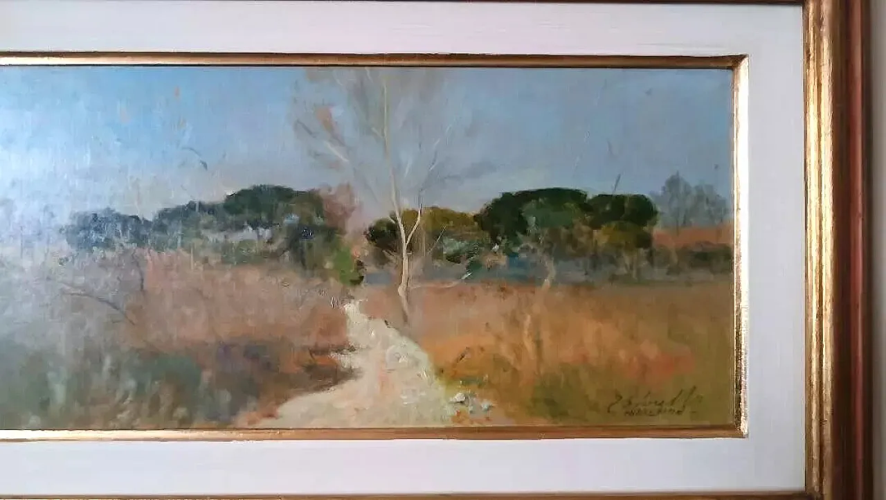 Scorcio della maremma di Bruno Loretti, olio su cartone, '900 4