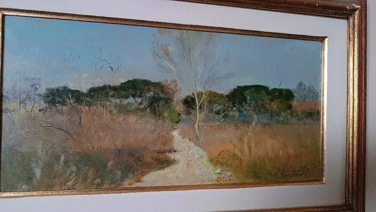 Scorcio della maremma di Bruno Loretti, olio su cartone, '900 5