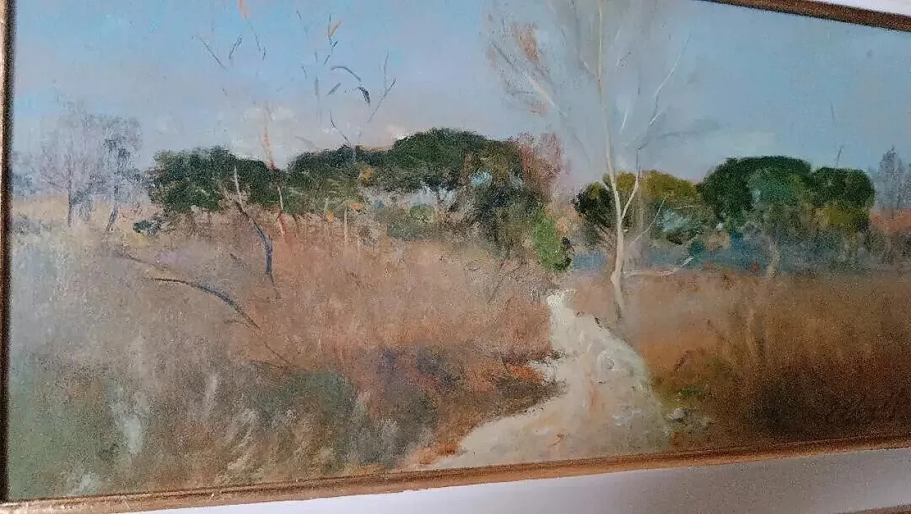 Scorcio della maremma di Bruno Loretti, olio su cartone, '900 7