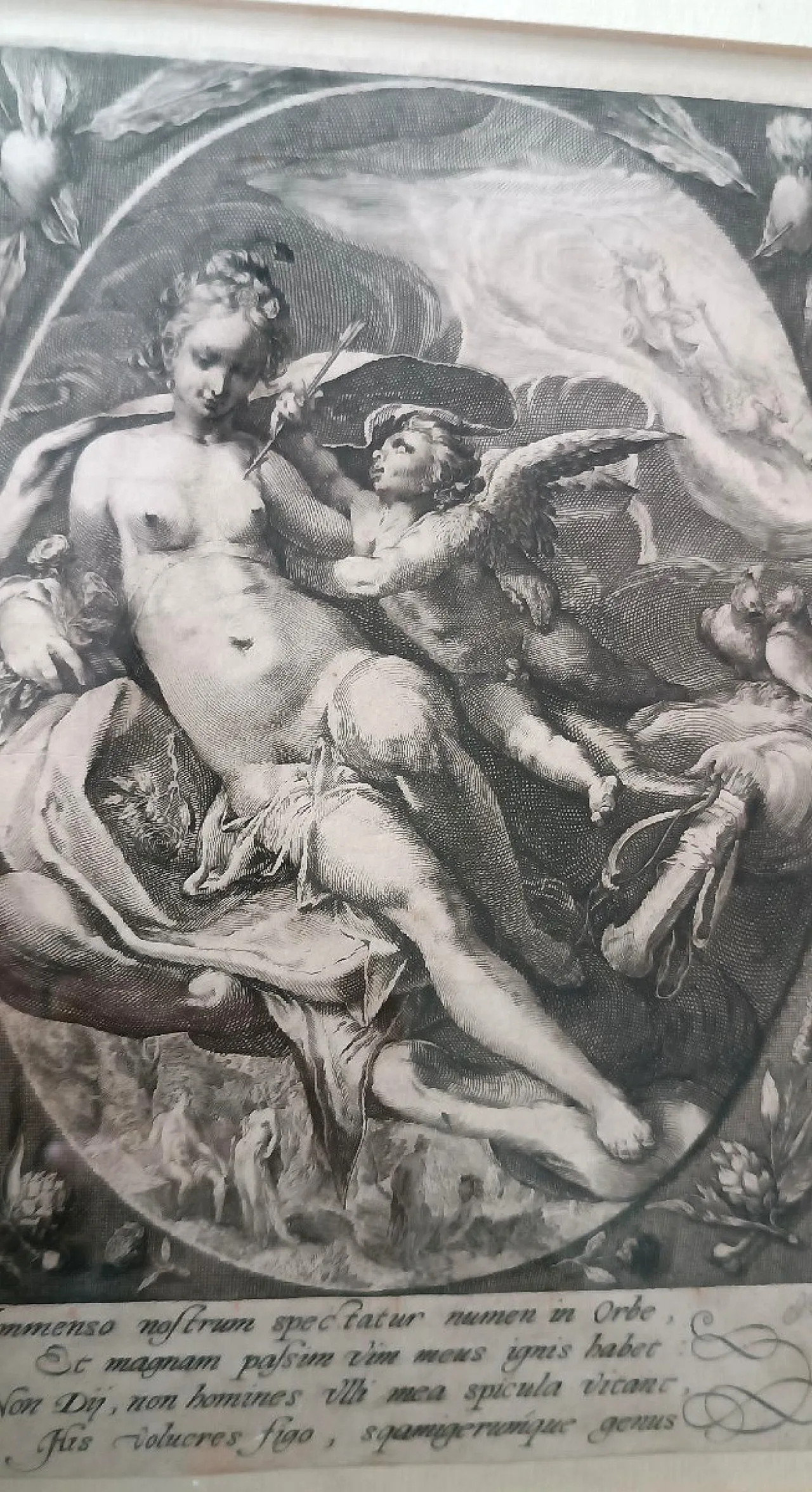 Venere e Cupido di Hendrik Goltzius, incisione a bulino, '600 1